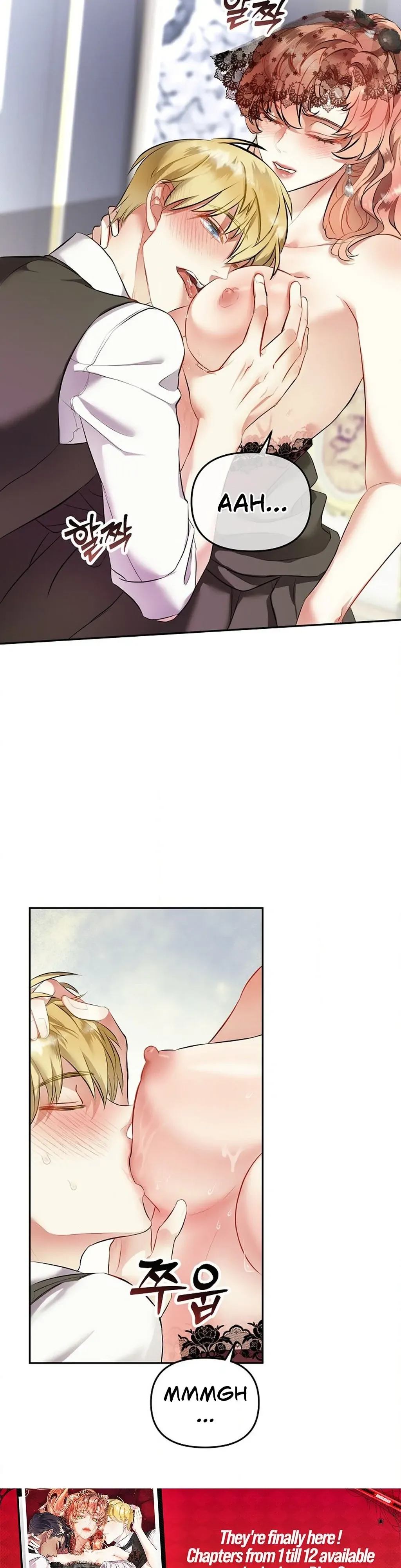 The Funeral of Count Mightner Chapter 2 page 17 - 