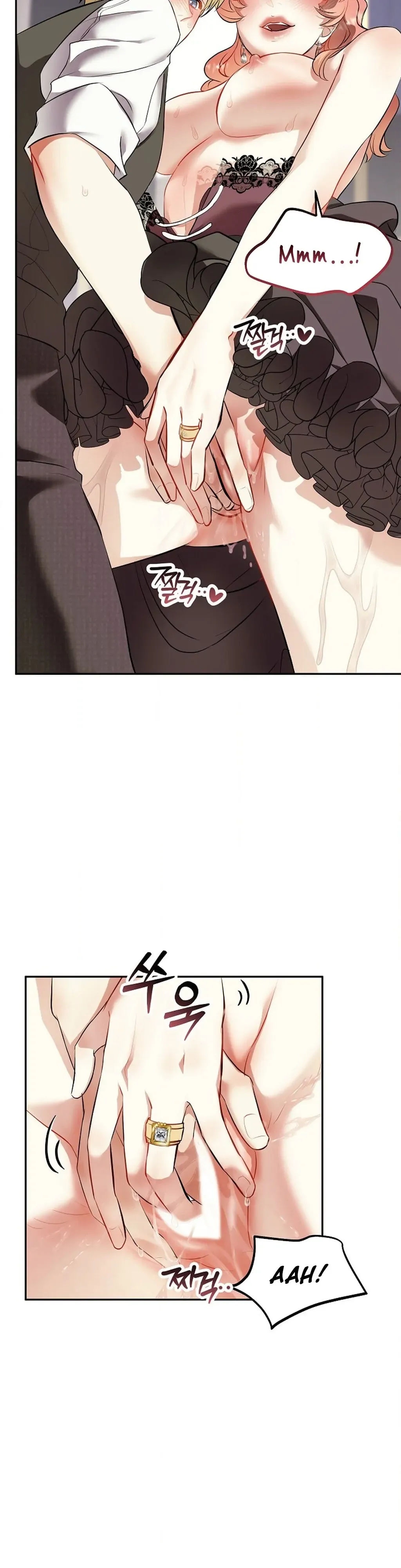 The Funeral of Count Mightner Chapter 2 page 27 - 