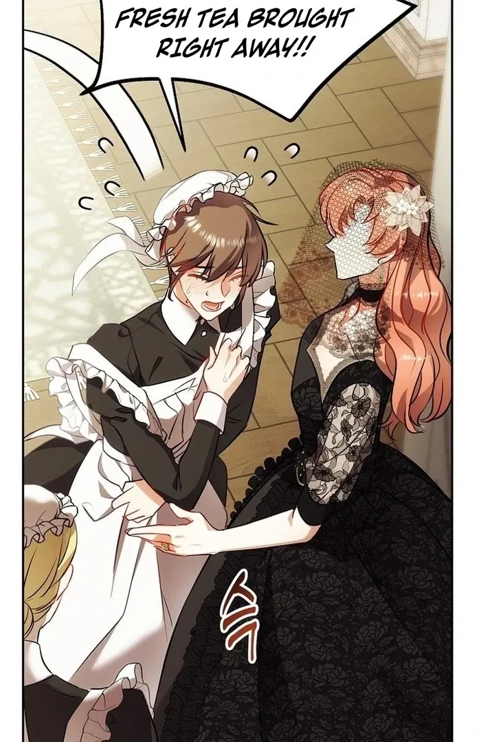 The Funeral of Count Mightner Chapter 3 page 29 - 