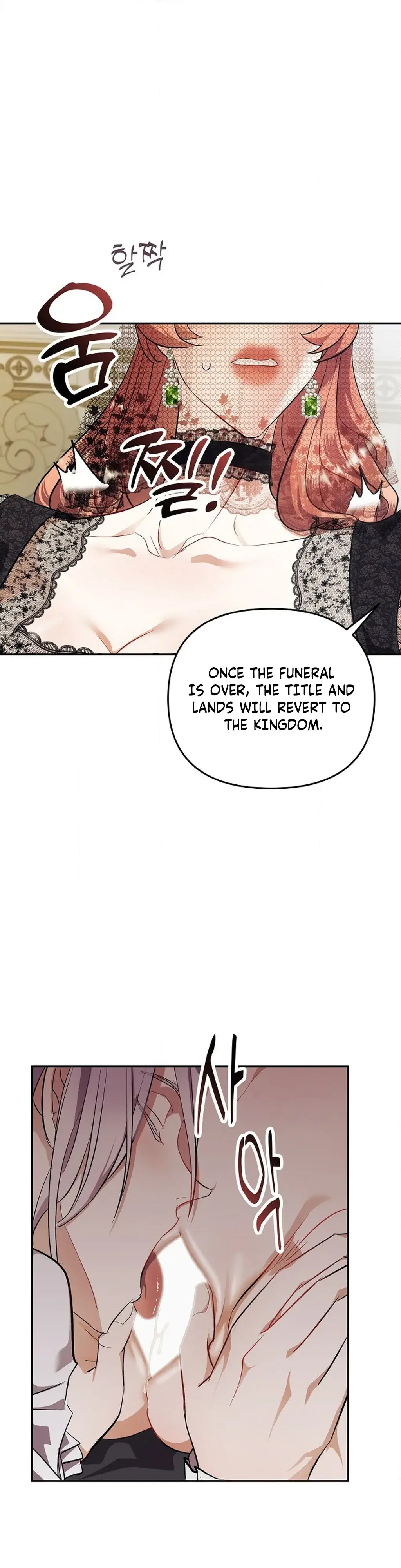 The Funeral of Count Mightner Chapter 5 page 11 - 
