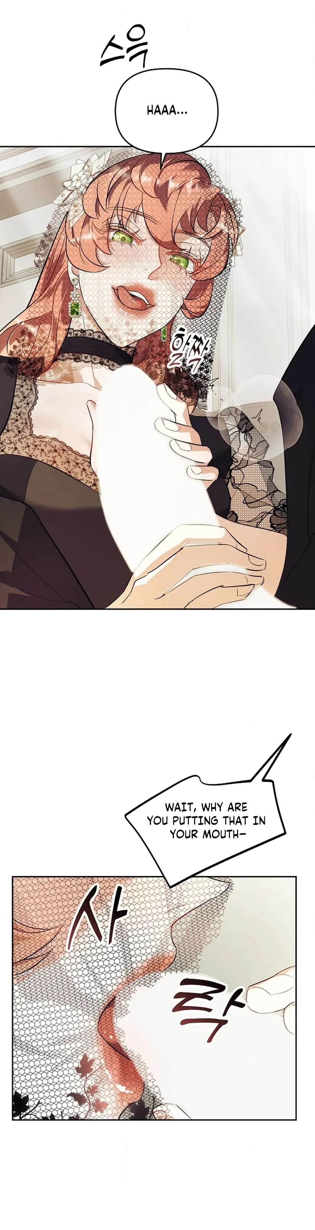 The Funeral of Count Mightner Chapter 5 page 23 - 