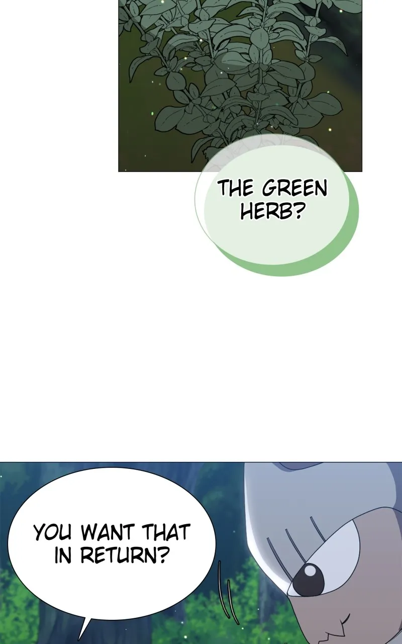The Gardener in a Hunter World Chapter 36 page 124 - 
