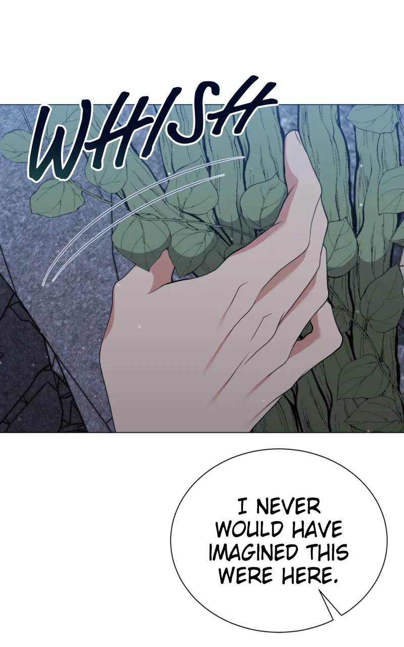 The Gardener in a Hunter World Chapter 37 page 66 - 