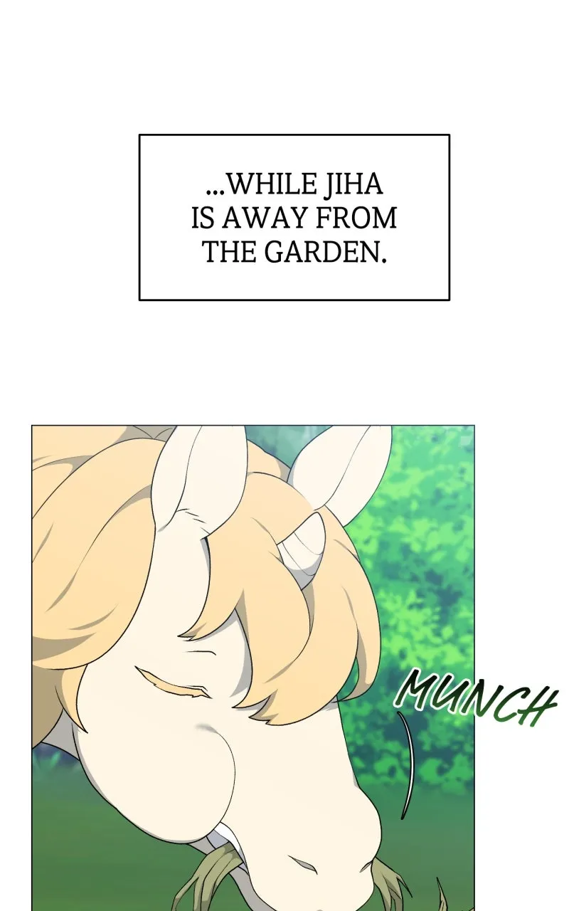 The Gardener in a Hunter World Chapter 61 page 41 - 