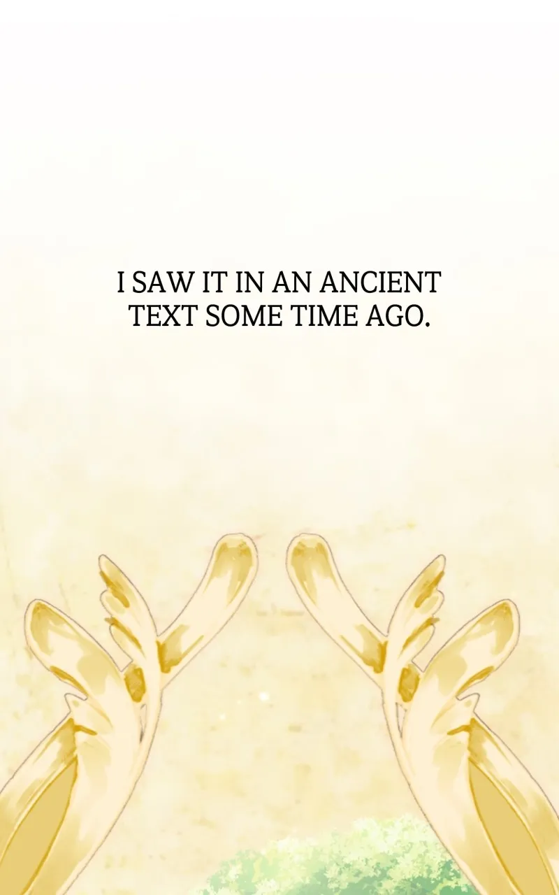 The Gardener in a Hunter World Chapter 7 page 1 - 