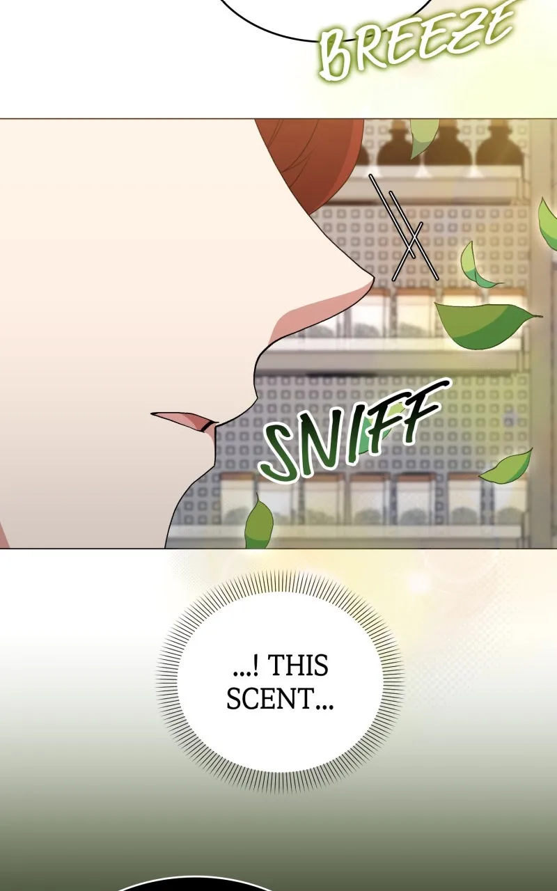 The Gardener in a Hunter World Chapter 70 page 65 - 