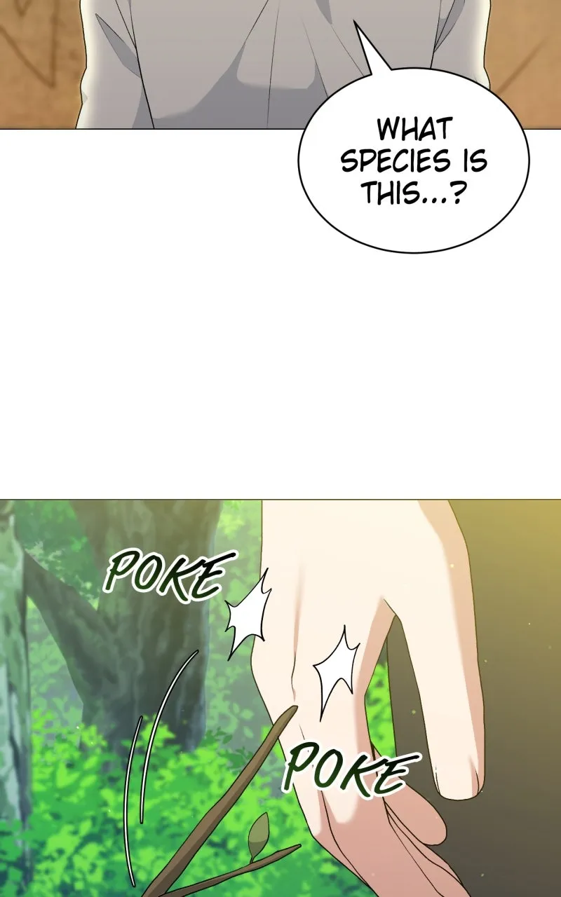 The Gardener in a Hunter World Chapter 72 page 67 - 