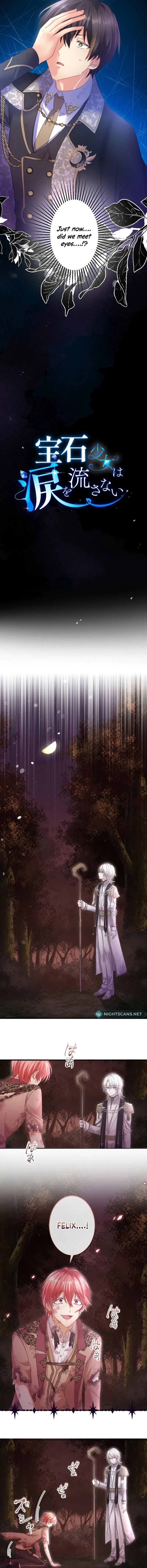 The Gem Girl Decided Not to Cry Chapter 49 page 17 - 