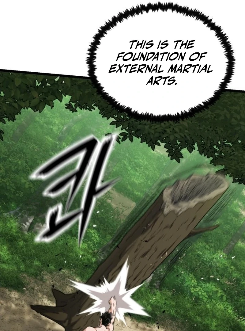 The Genius Girl Who Hides the Martial World