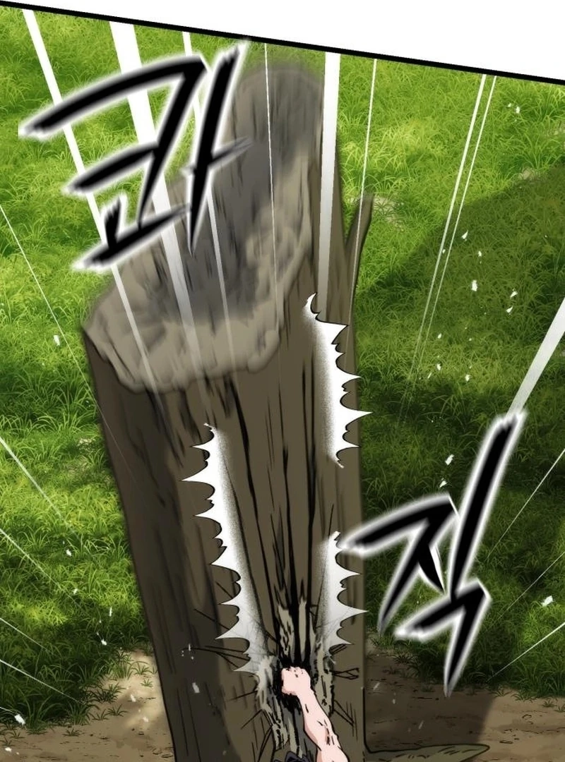 The Genius Girl Who Hides the Martial World