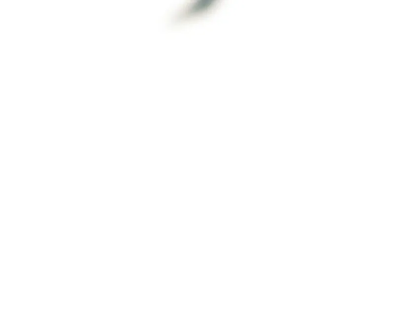 The Genius Midfielder’s Passes are Special Chapter 28 page 181 - 