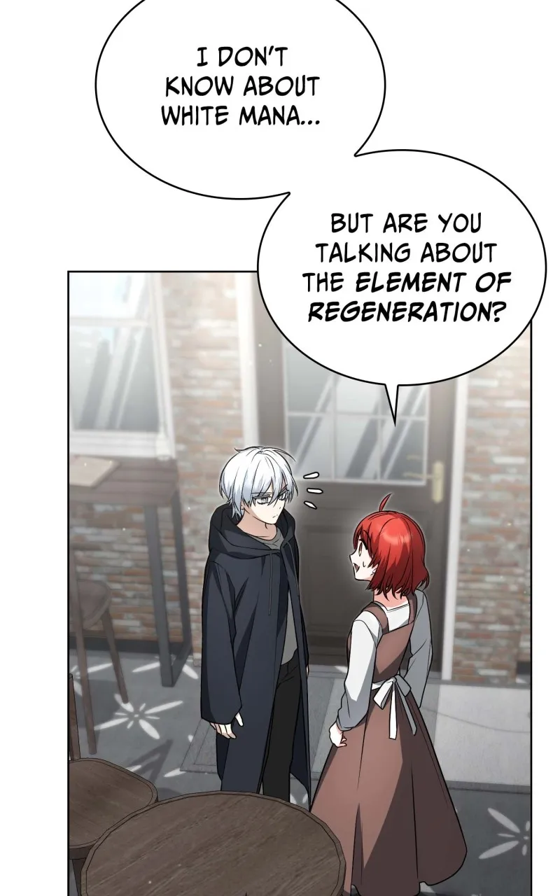 The Genius Prismatic Mage Chapter 15 page 81 - 