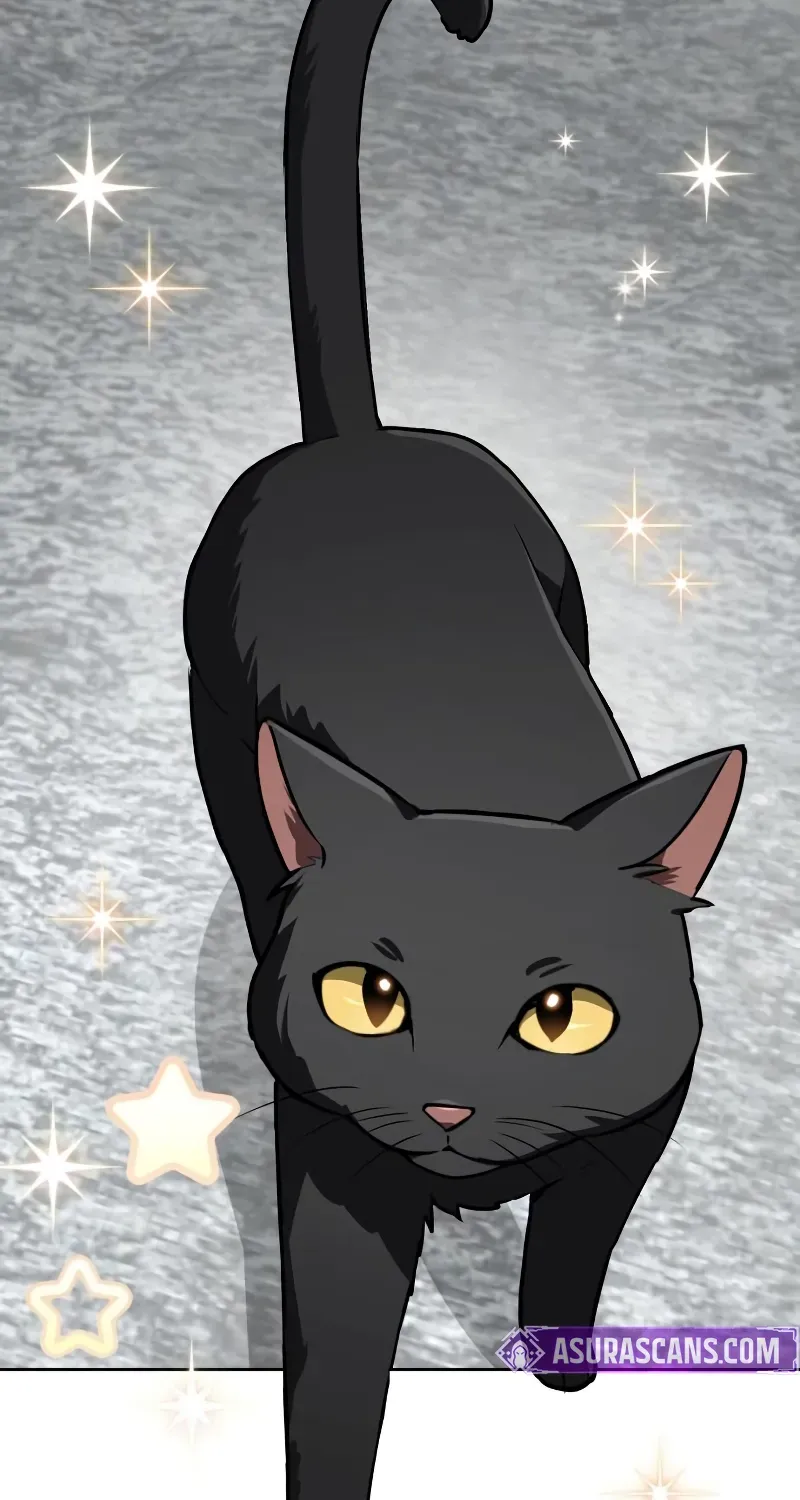 The Genius Prismatic Mage Chapter 63 page 66 - 