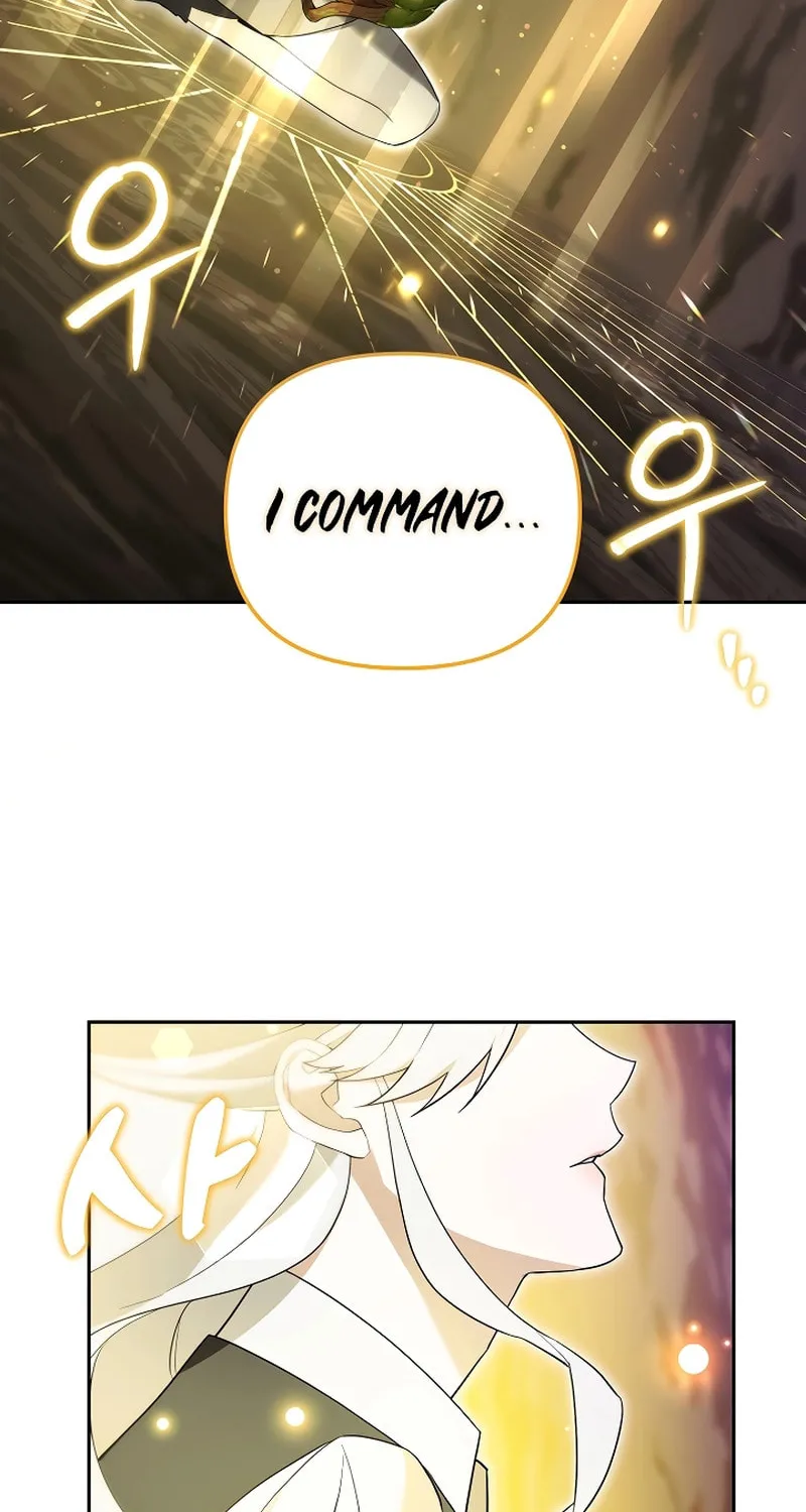 The Genius Tamer of the Academy Chapter 12 page 42 - 