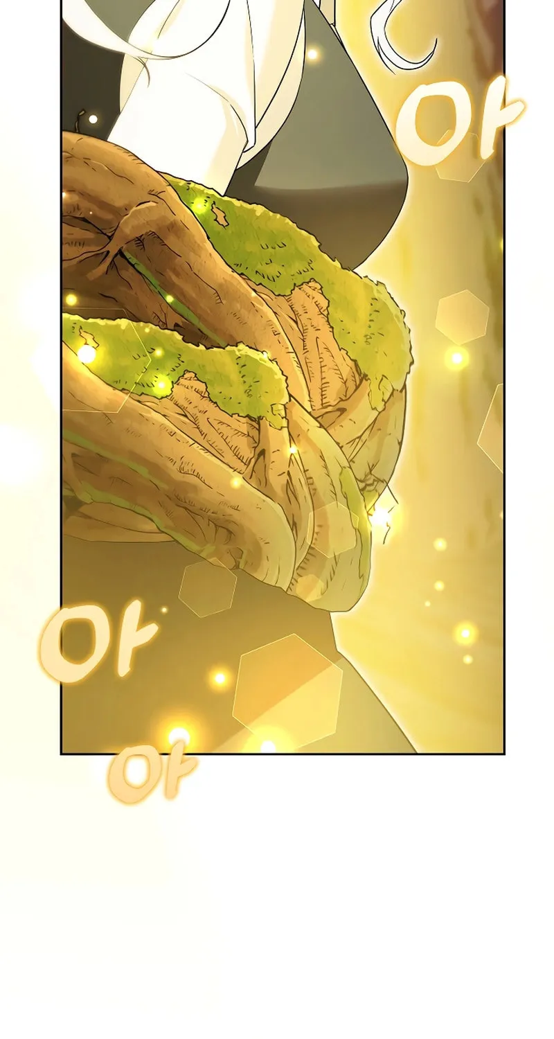 The Genius Tamer of the Academy Chapter 12 page 43 - 