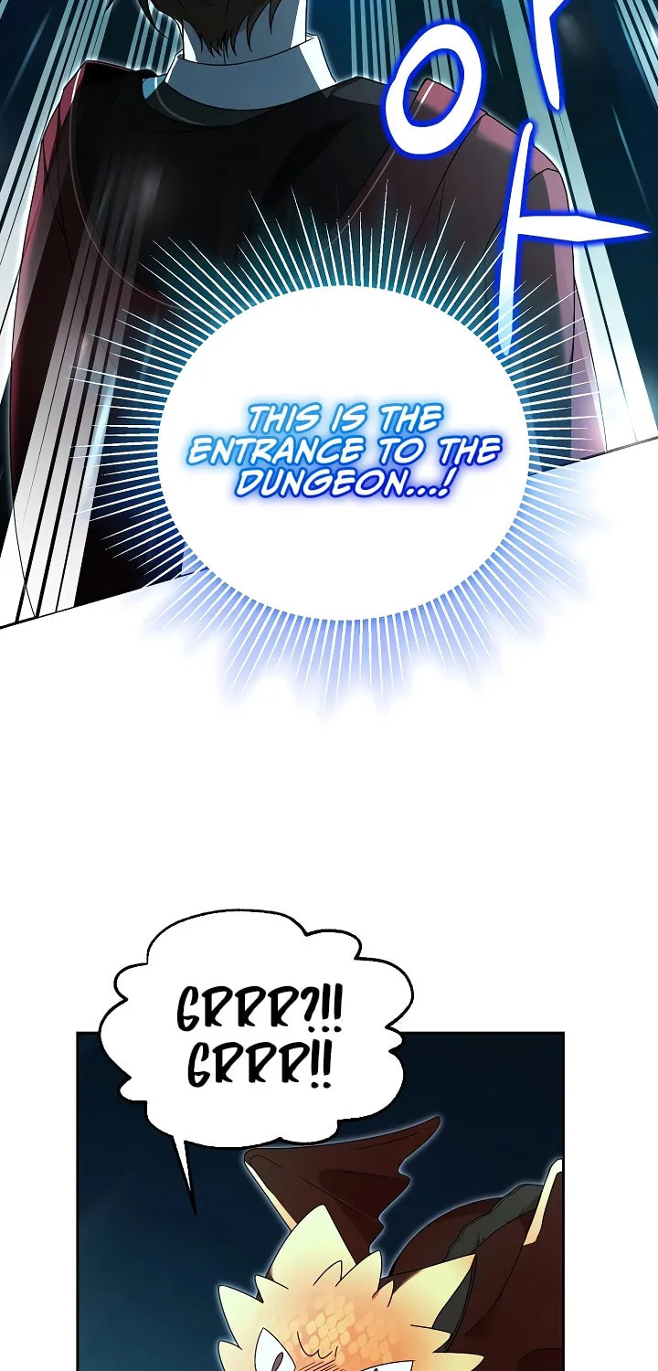 The Genius Tamer of the Academy Chapter 16 page 43 - 
