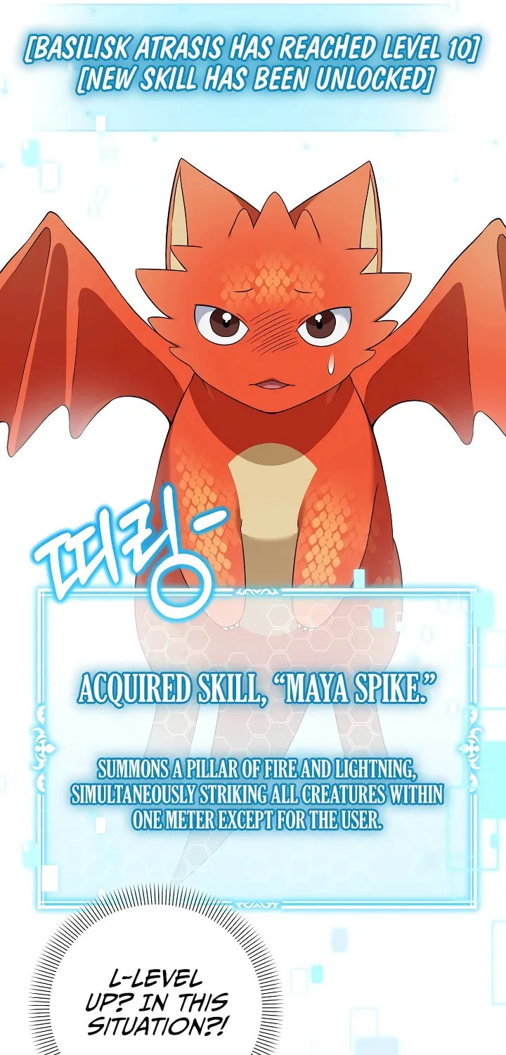The Genius Tamer of the Academy Chapter 18 page 67 - 
