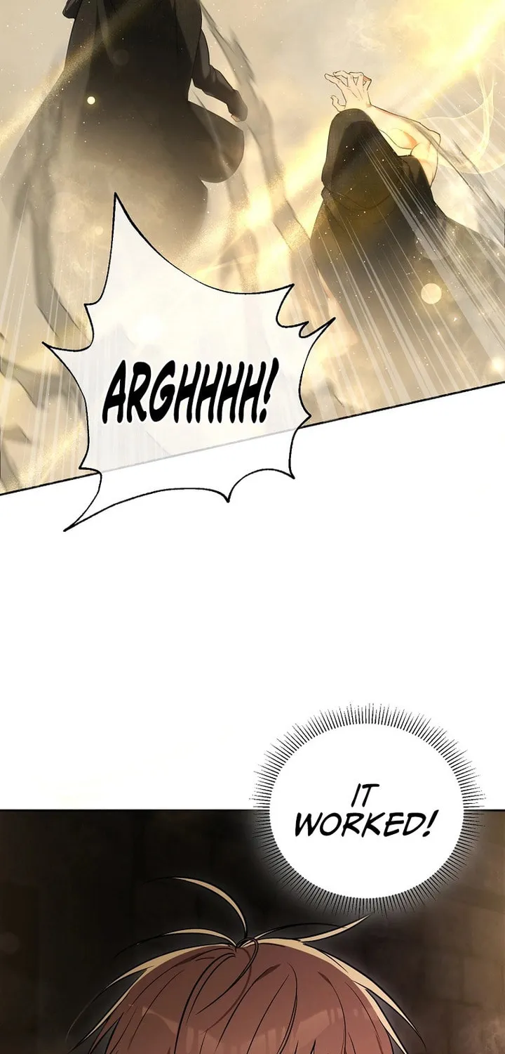 The Genius Tamer of the Academy Chapter 2 page 19 - 
