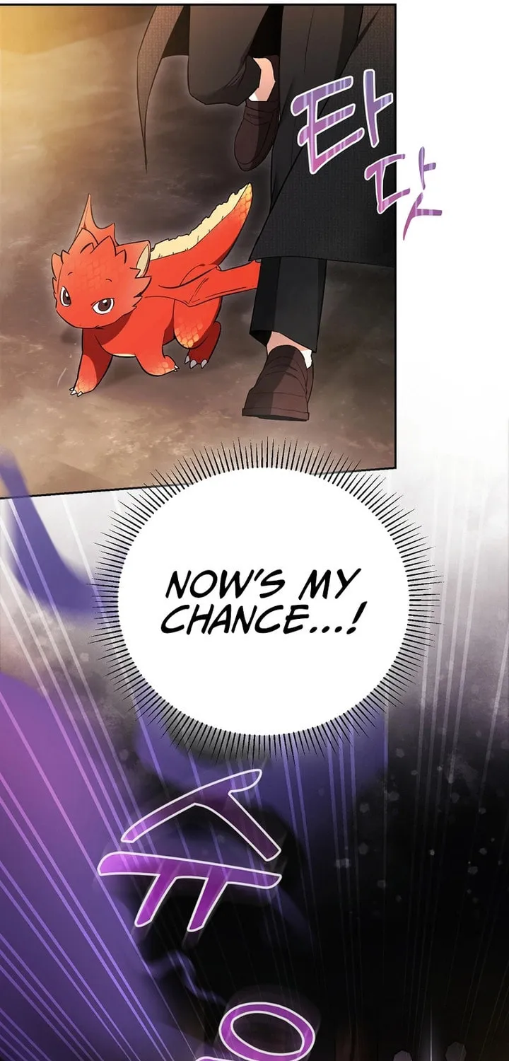 The Genius Tamer of the Academy Chapter 2 page 22 - 