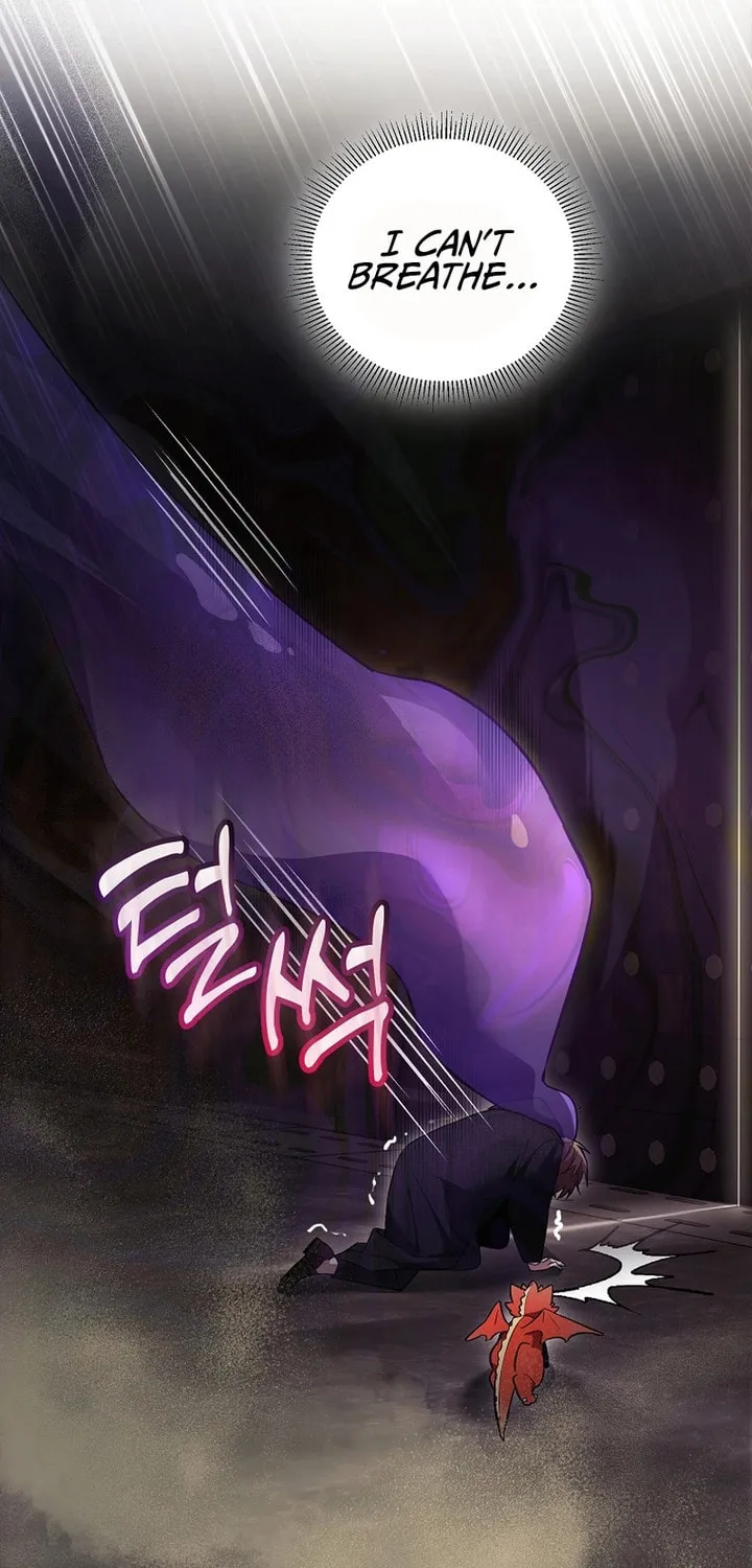 The Genius Tamer of the Academy Chapter 2 page 27 - 