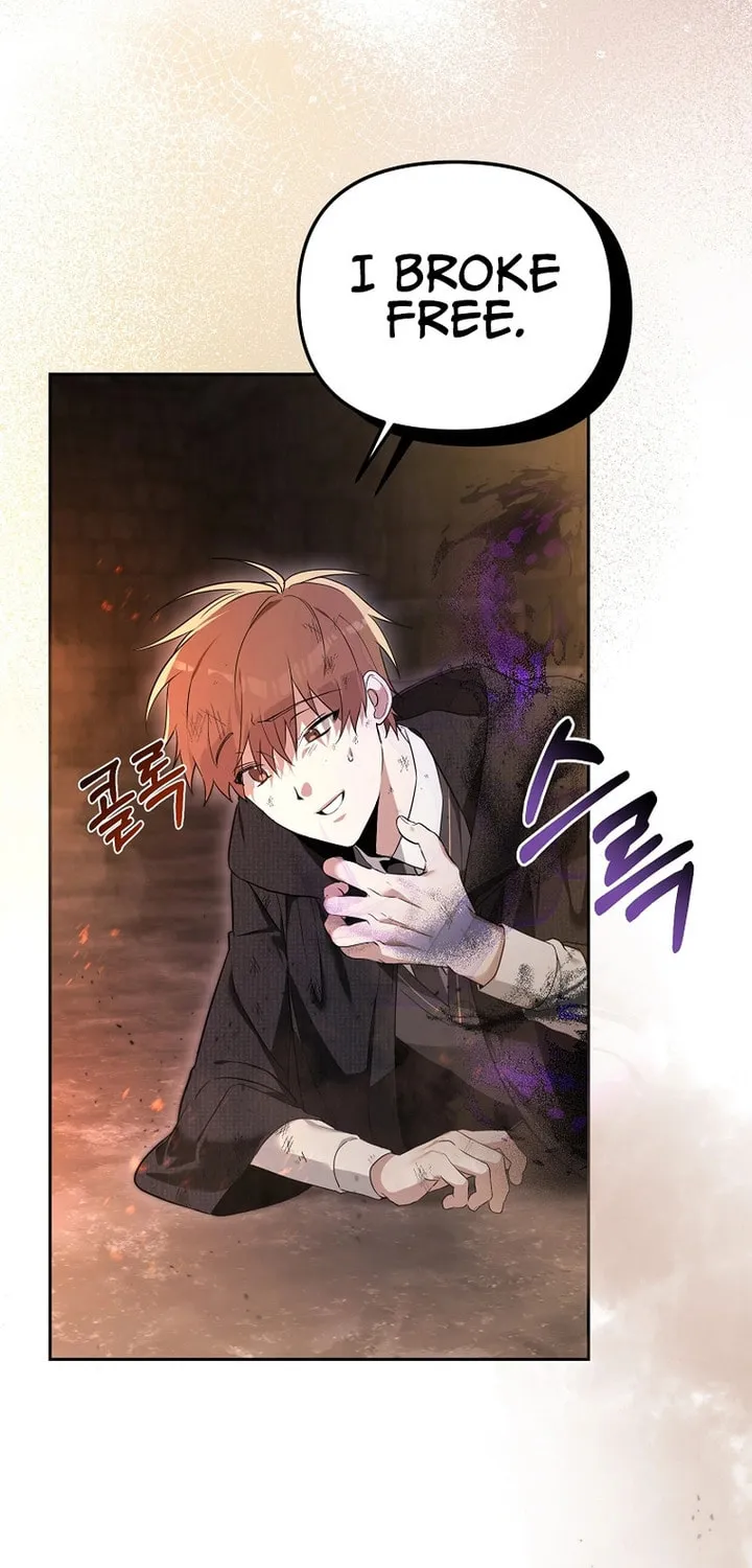 The Genius Tamer of the Academy Chapter 2 page 46 - 