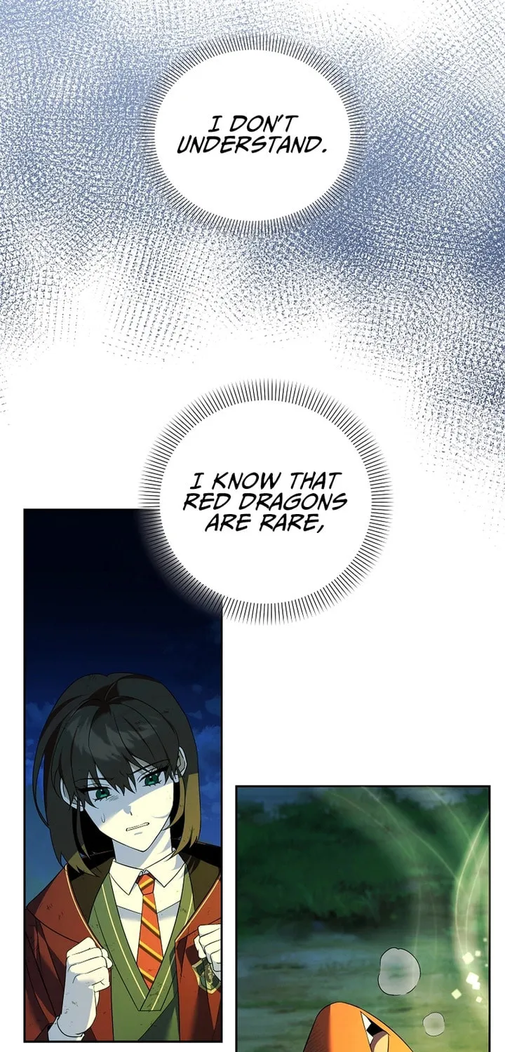 The Genius Tamer of the Academy Chapter 23 page 4 - 