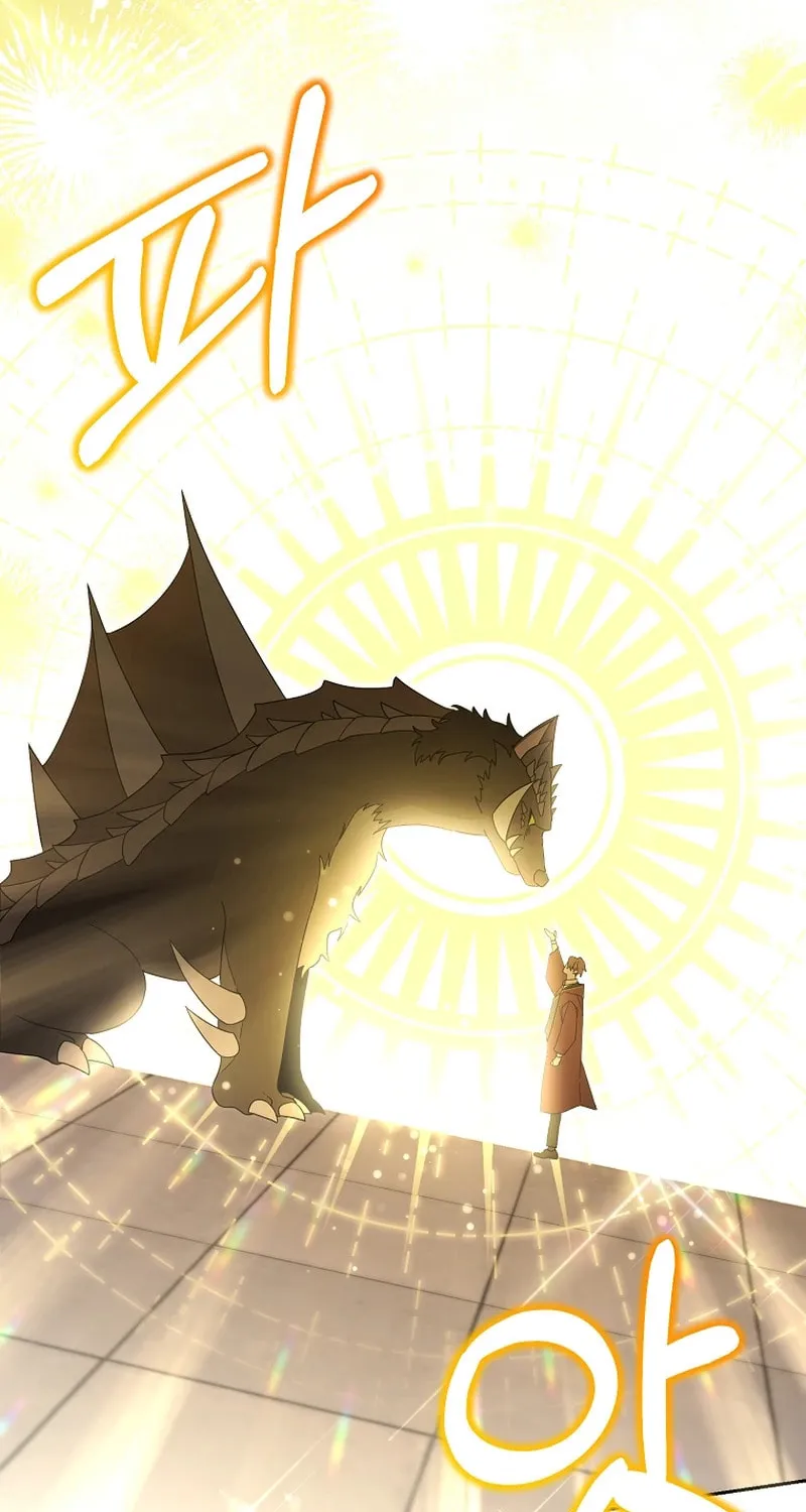 The Genius Tamer of the Academy Chapter 26 page 11 - 