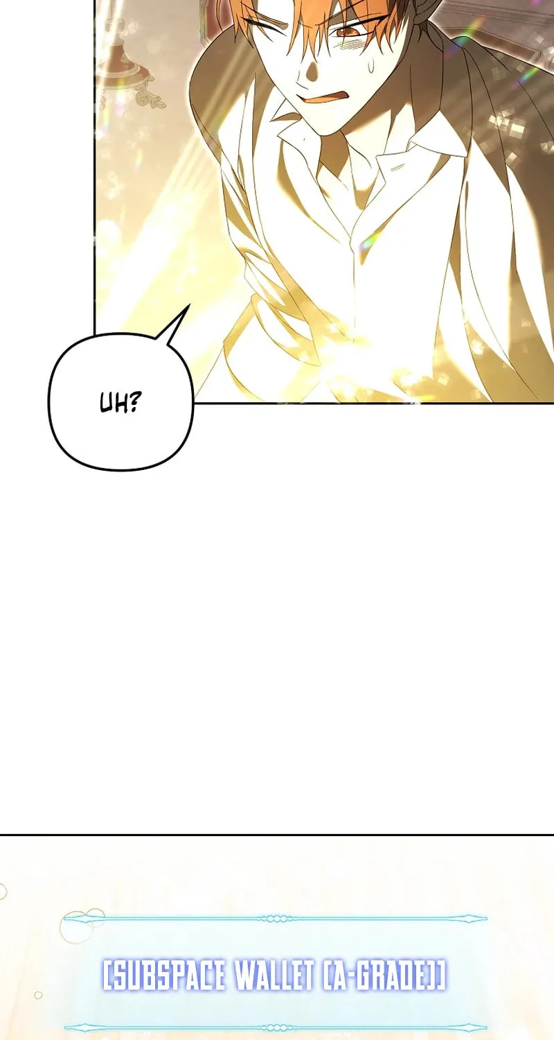 The Genius Tamer of the Academy Chapter 26 page 45 - 