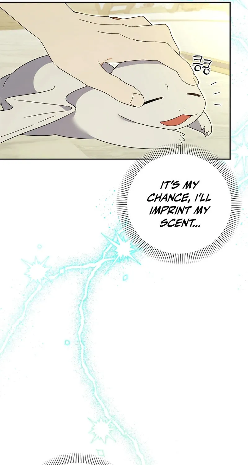 The Genius Tamer of the Academy Chapter 28 page 76 - 