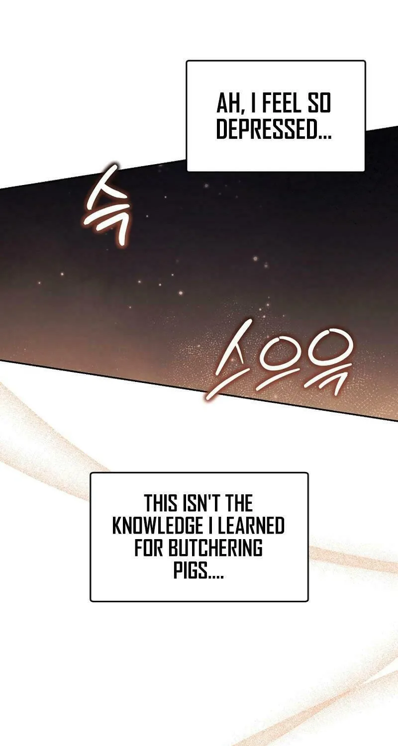 The Genius Tamer of the Academy Chapter 31 page 45 - 