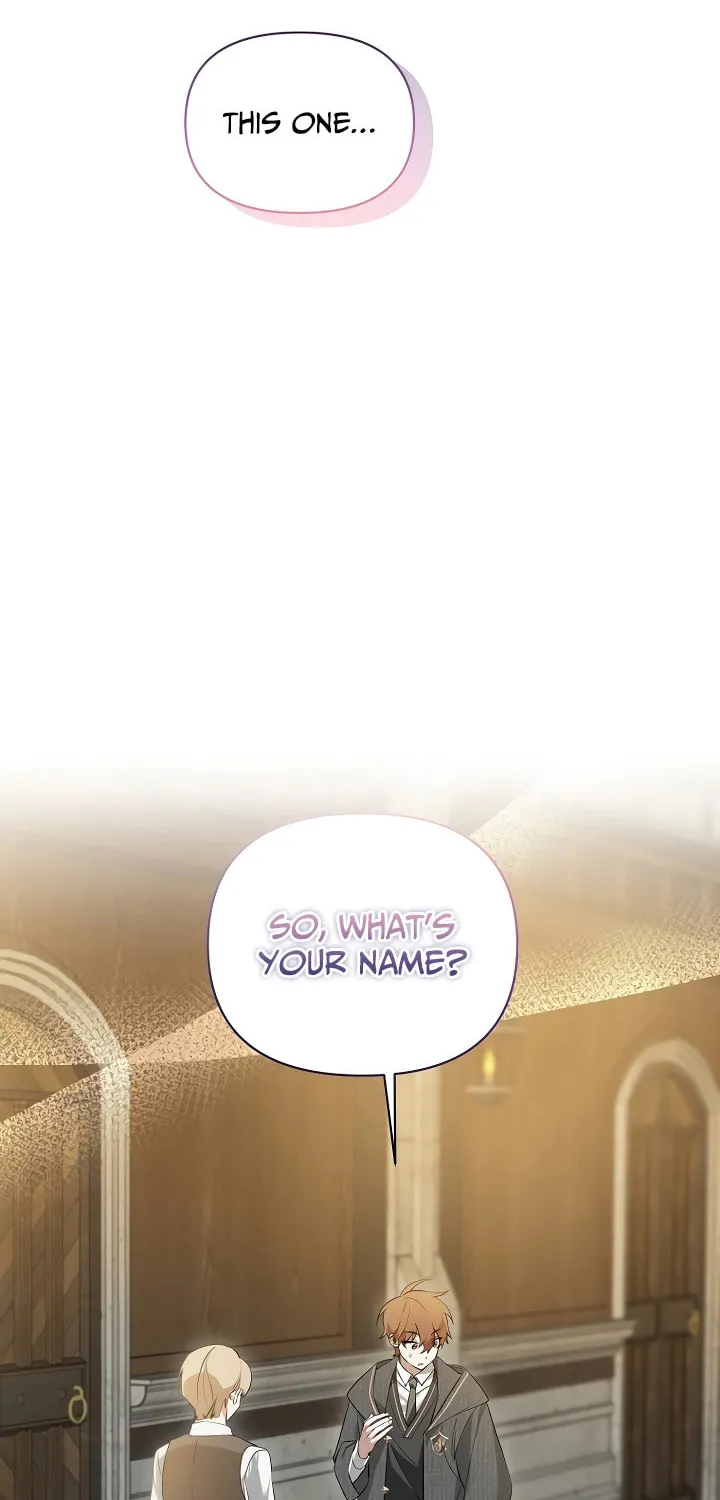The Genius Tamer of the Academy Chapter 4 page 39 - 