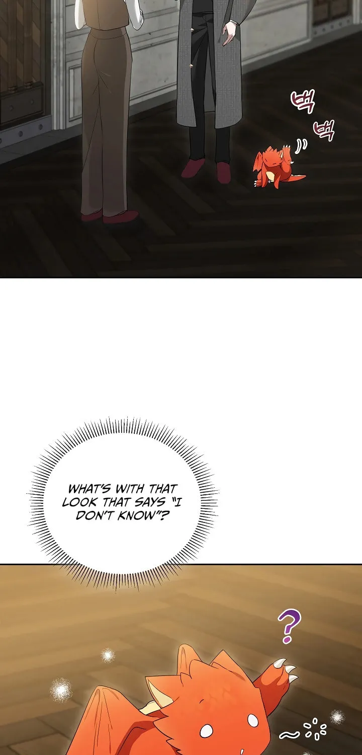 The Genius Tamer of the Academy Chapter 4 page 40 - 