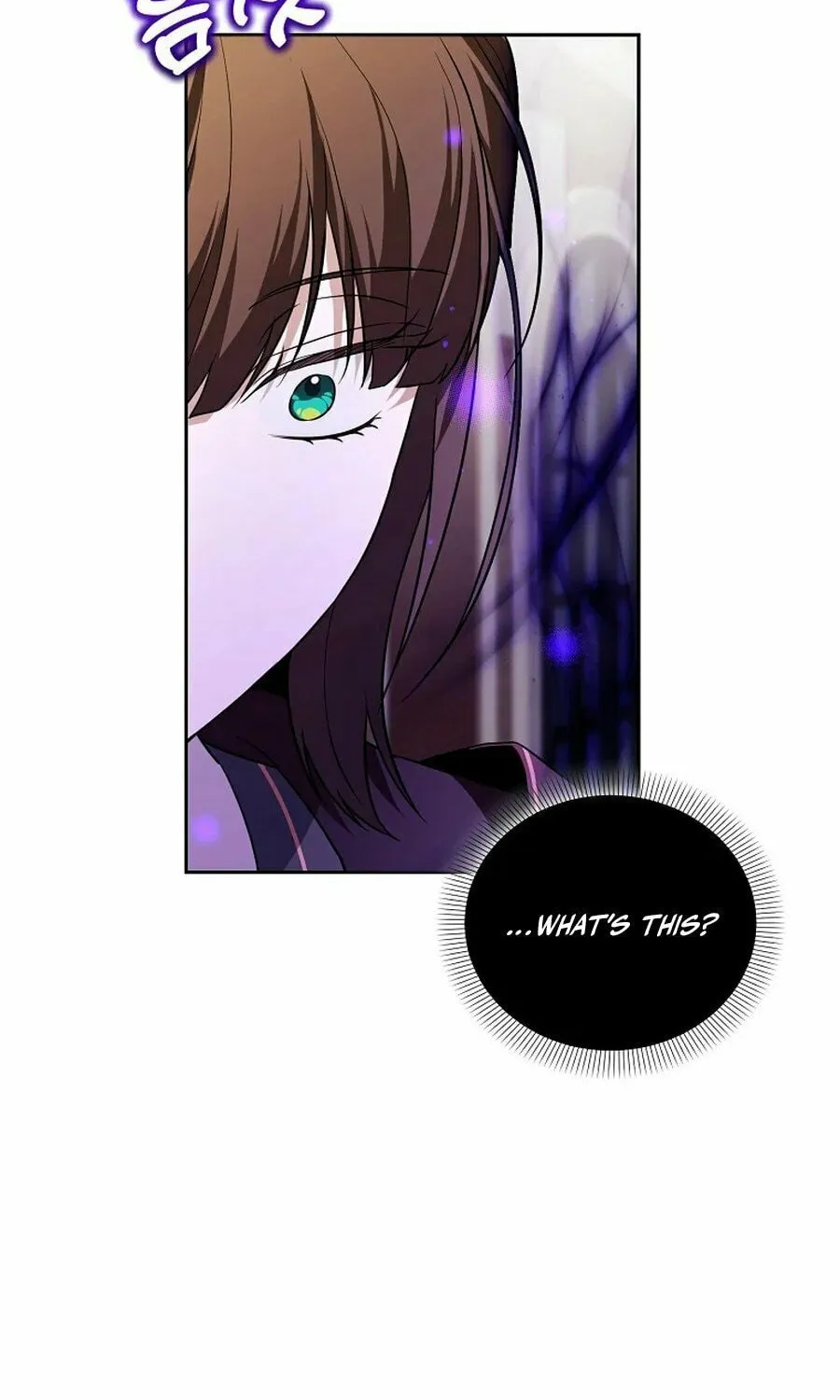 The Genius Tamer of the Academy Chapter 47 page 27 - 