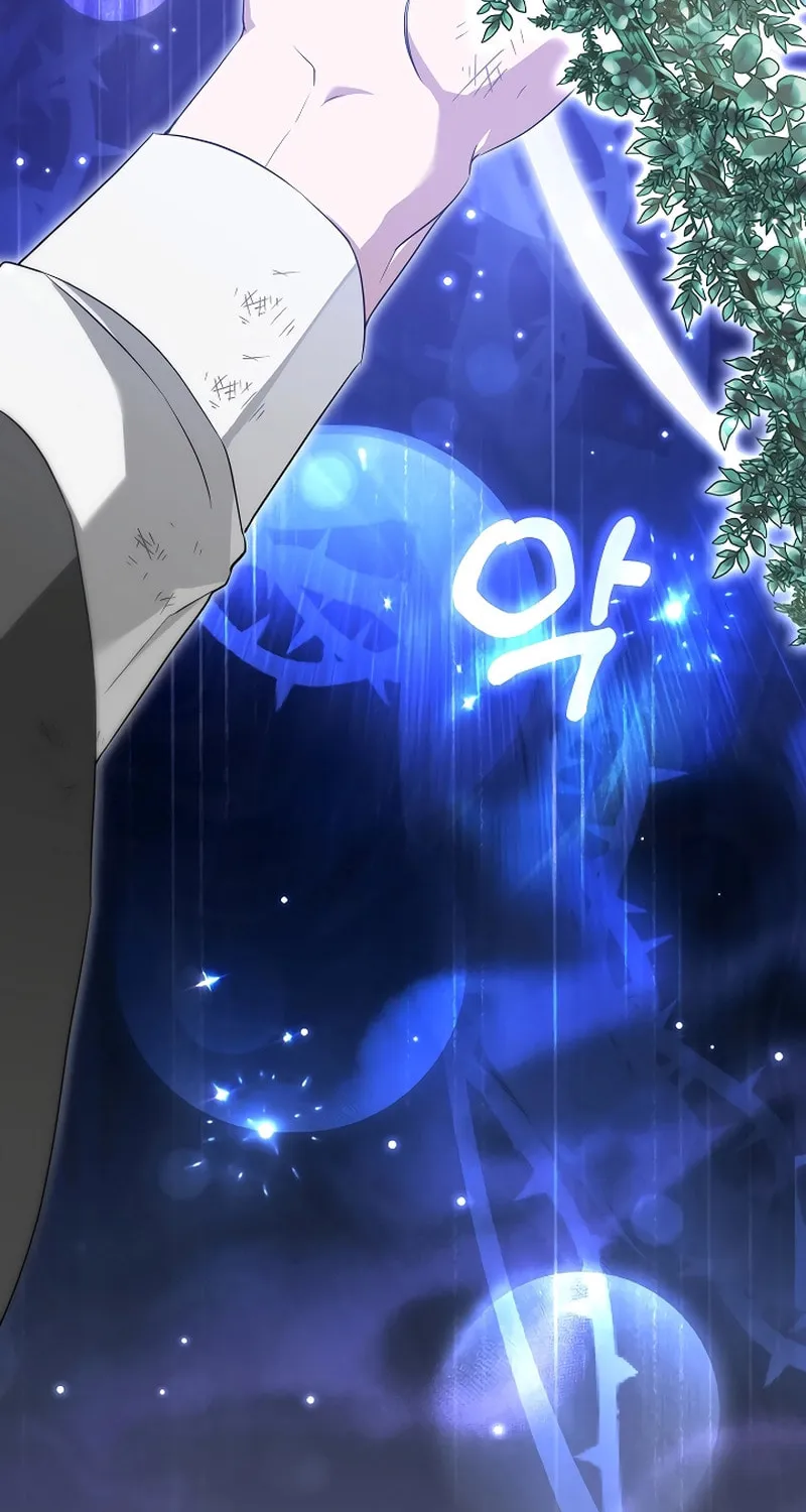 The Genius Tamer of the Academy Chapter 6 page 47 - 