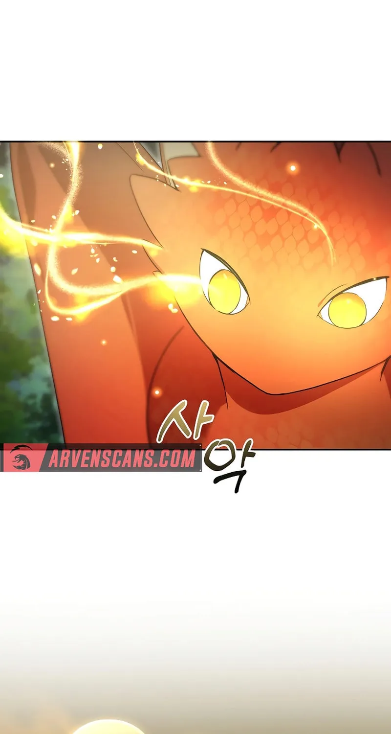 The Genius Tamer of the Academy Chapter 6 page 69 - 