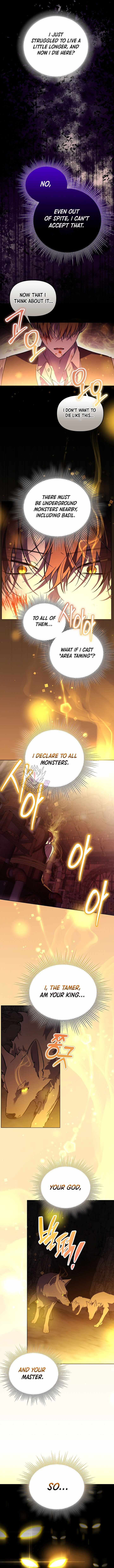 The Genius Tamer of the Academy Chapter 69 page 8 - 