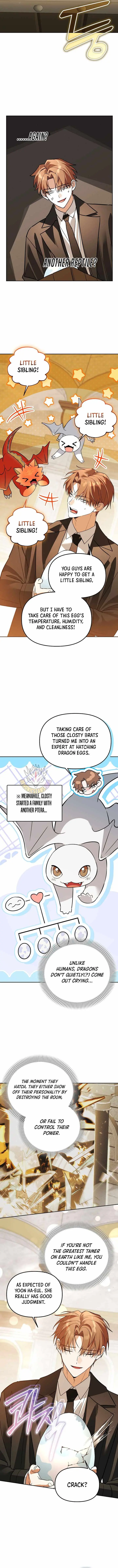 The Genius Tamer of the Academy Chapter 82 page 11 - 