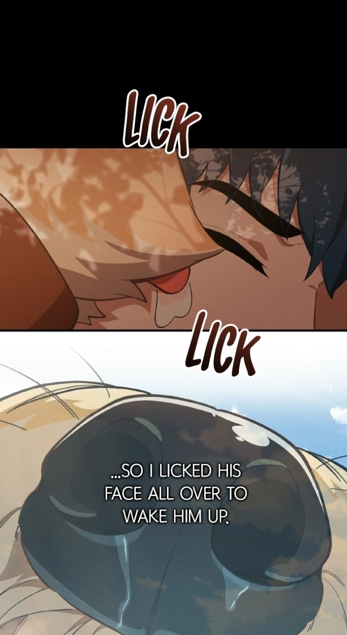 The GeniusWants an Ordinary Life Chapter 52 page 11 - 