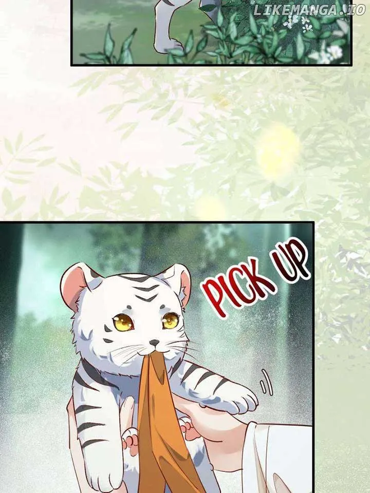 The Ghostly Doctor Chapter 593 page 12 - 