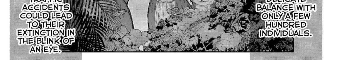 The Girl I Fell in Love With in Okinawa Speaks in a Heavy Dialect and It