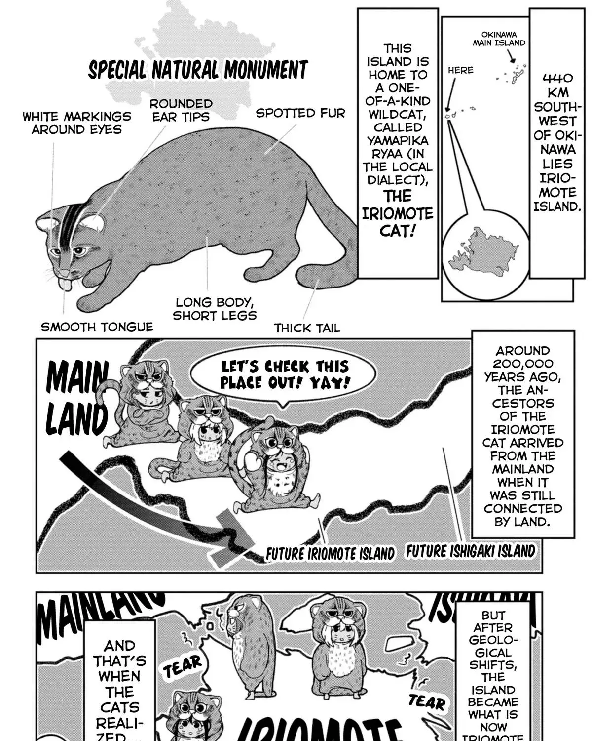 The Girl I Fell in Love With in Okinawa Speaks in a Heavy Dialect and It