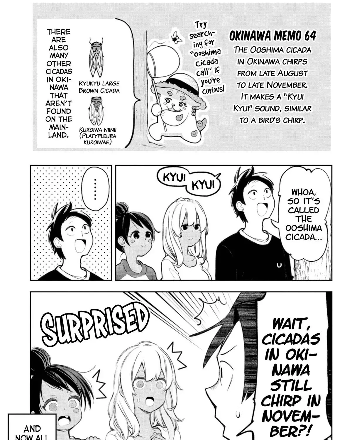 The Girl I Fell in Love With in Okinawa Speaks in a Heavy Dialect and It