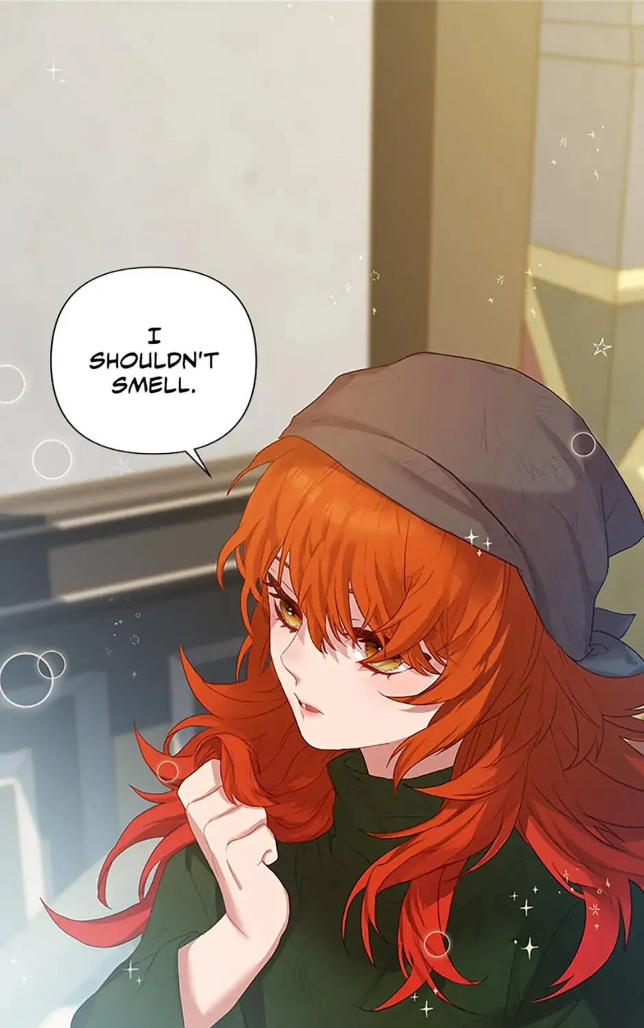 The Glamorous Life of the Fake Mistress Chapter 1 page 17 - 