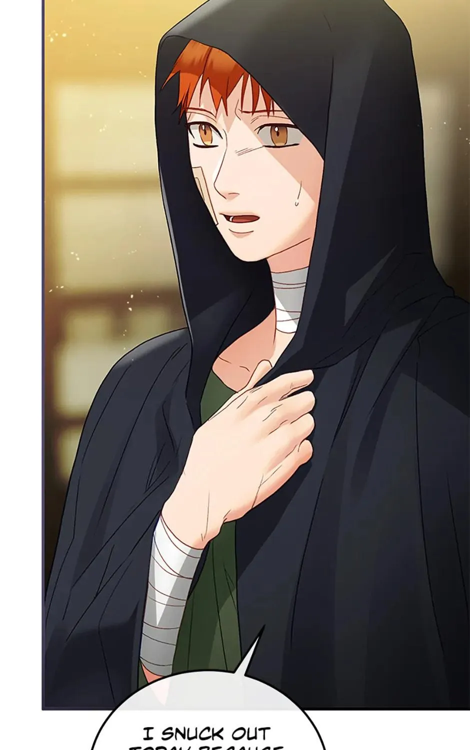 The Glamorous Life of the Fake Mistress Chapter 103 page 47 - 