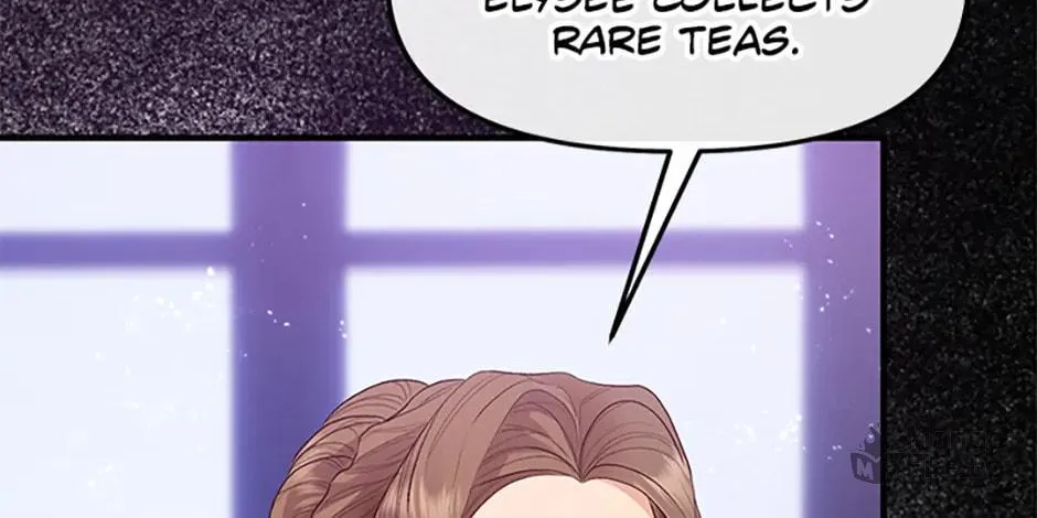 The Glamorous Life of the Fake Mistress Chapter 111 page 6 - 