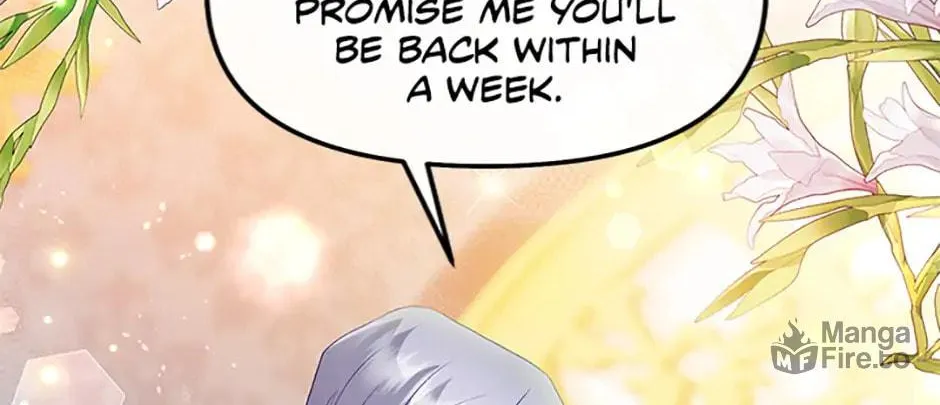 The Glamorous Life of the Fake Mistress Chapter 112 page 12 - 