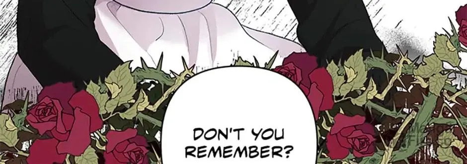 The Glamorous Life of the Fake Mistress Chapter 12 page 40 - 