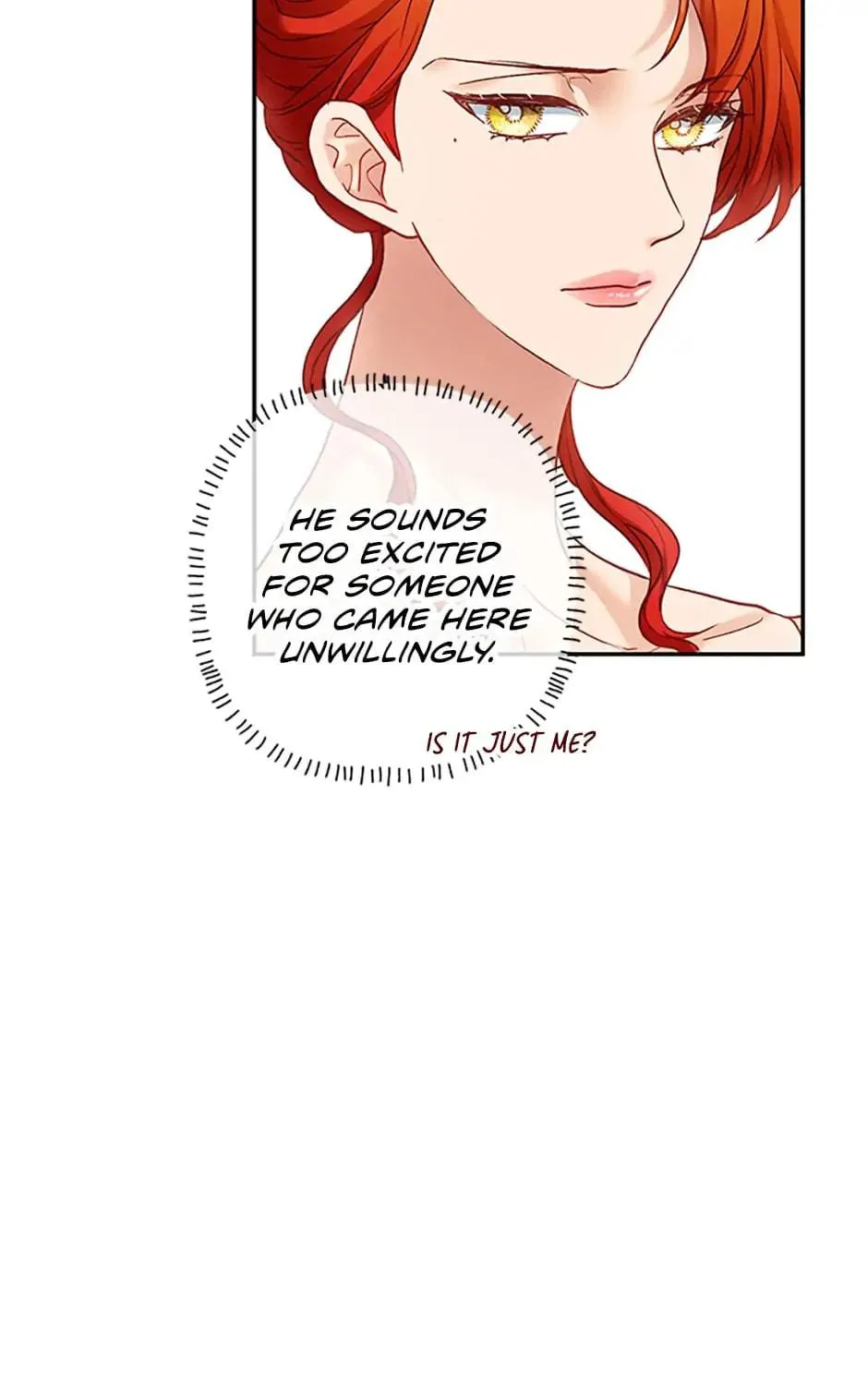 The Glamorous Life of the Fake Mistress Chapter 24 page 17 - 