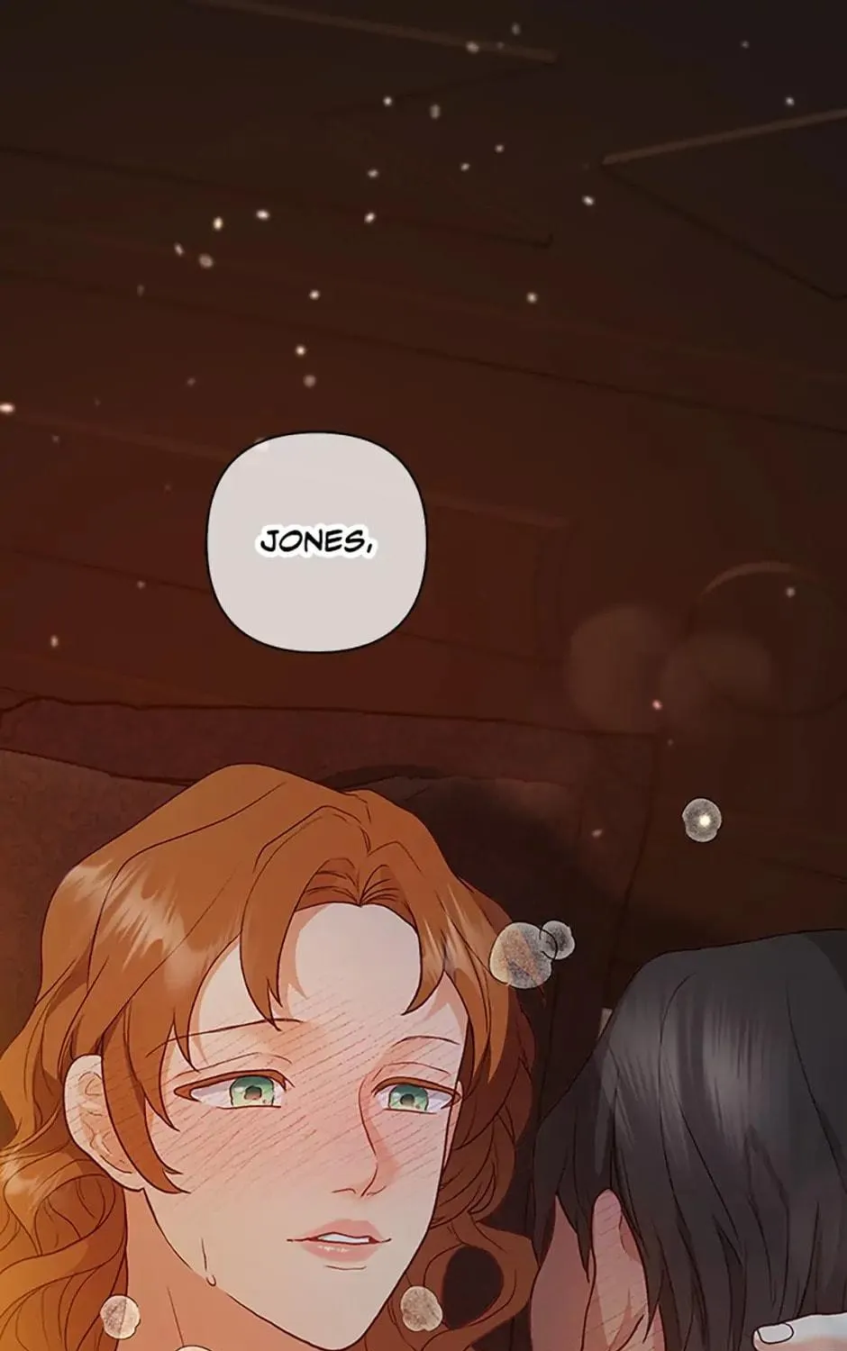 The Glamorous Life of the Fake Mistress Chapter 29 page 95 - 
