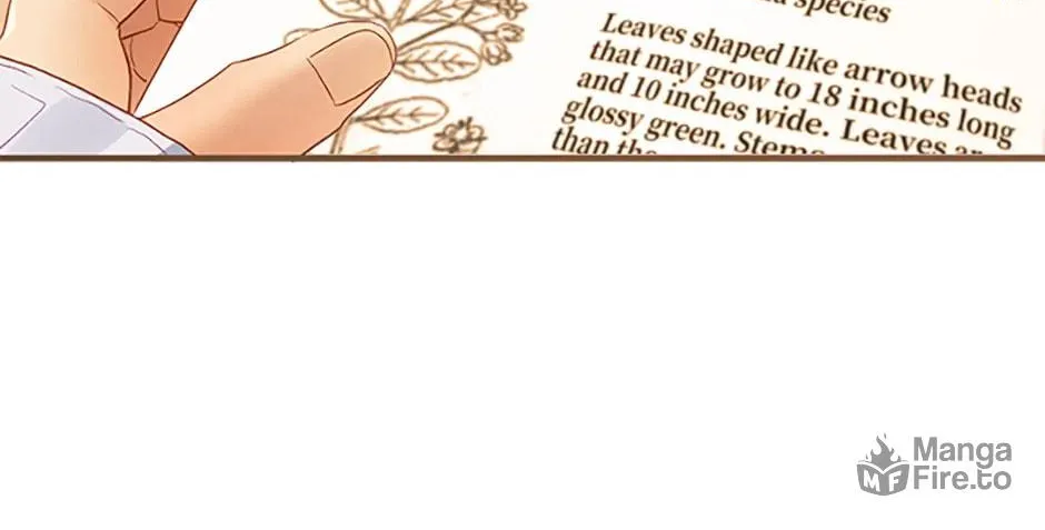 The Glamorous Life of the Fake Mistress Chapter 84 page 70 - 